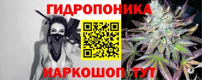 прущие грибы Будённовск