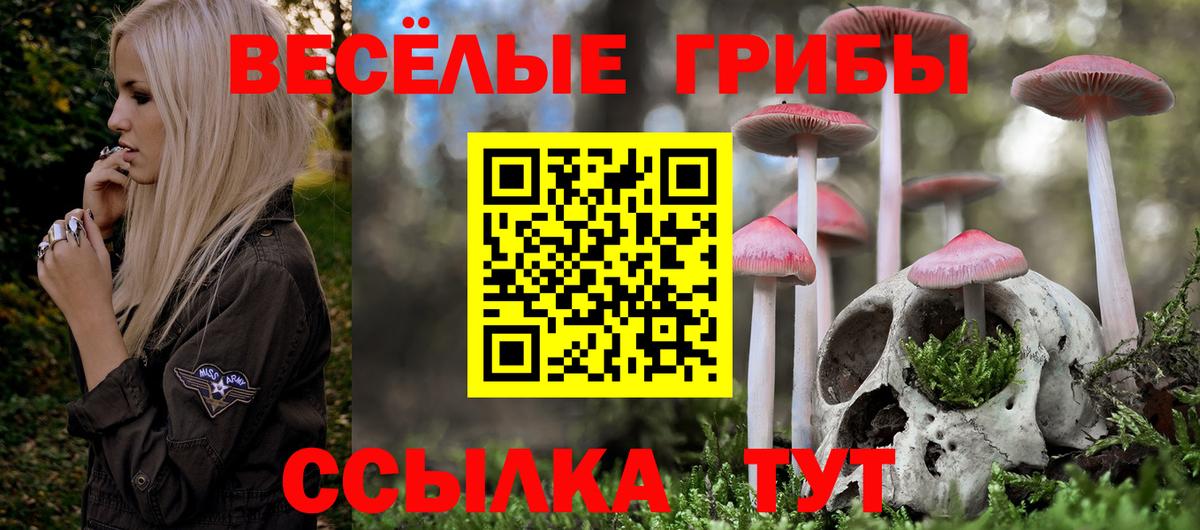 Псилоцибиновые грибы GOLDEN TEACHER Астрахань