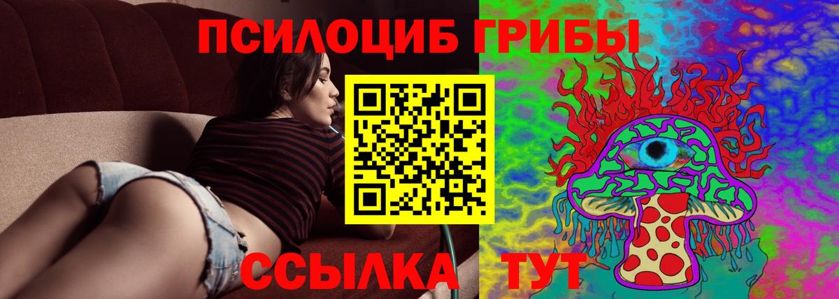 Псилоцибиновые грибы MAGIC MUSHROOMS  Вход с VPN  Астрахань 